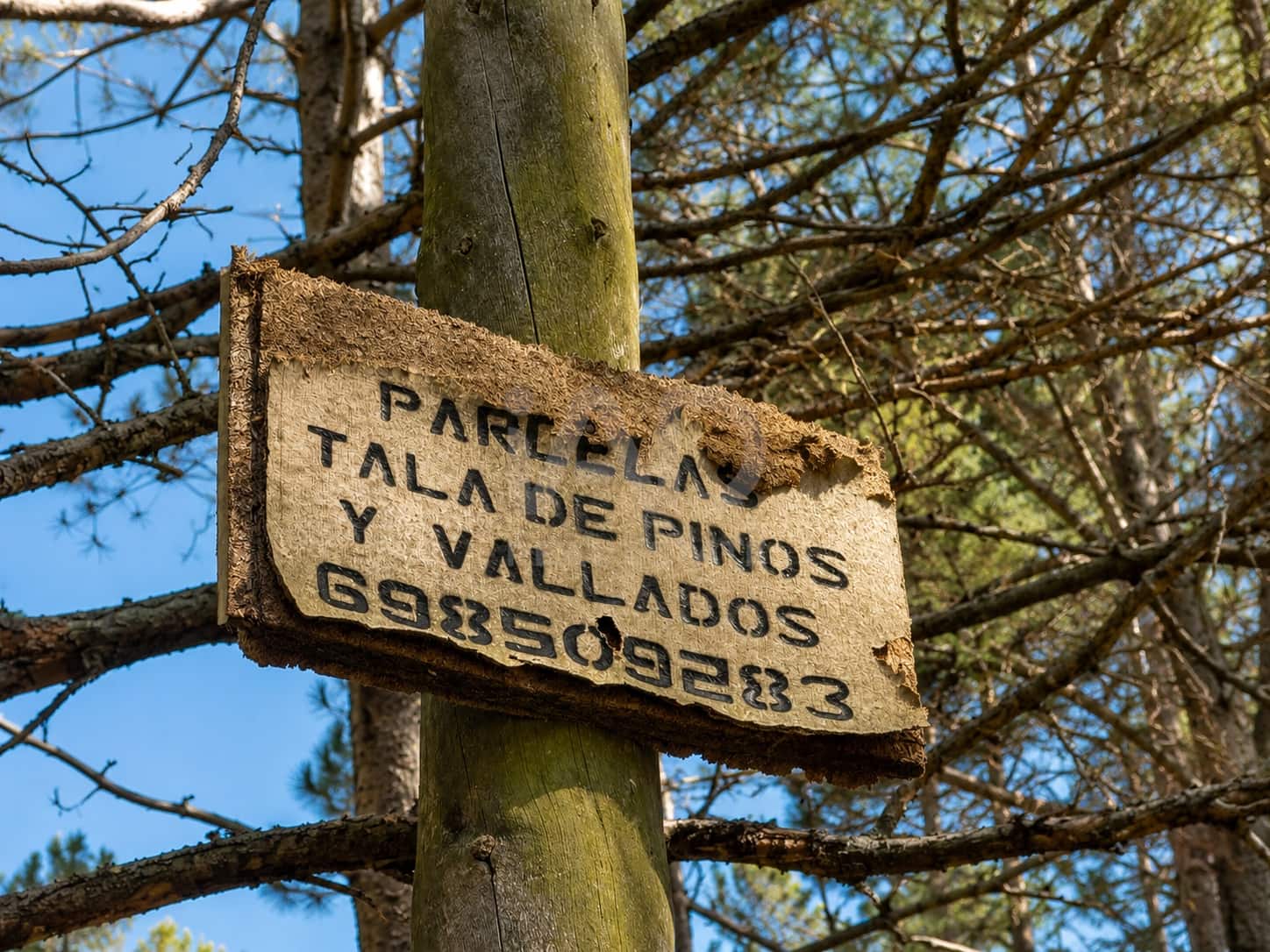 Grunde uden byggetilladelser til salg i Barcelona by - € 70.000 (Ref: 9987977)