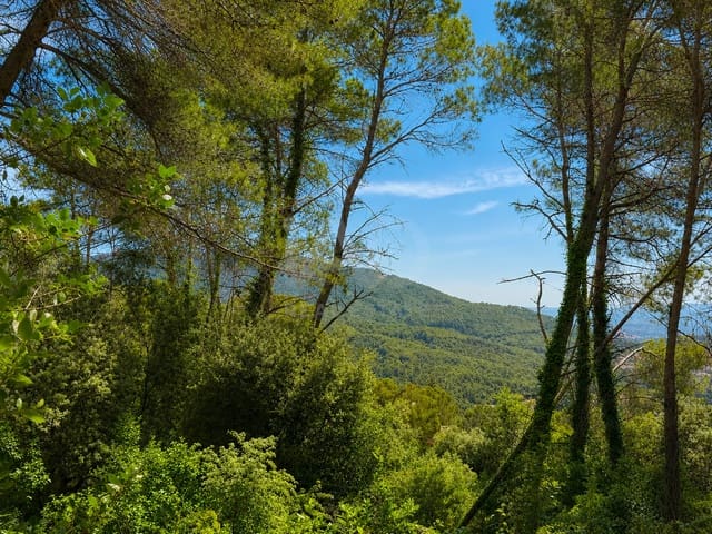 Ubebygd land til salgs i Barcelona by - € 70 000 (Ref: 9987977)