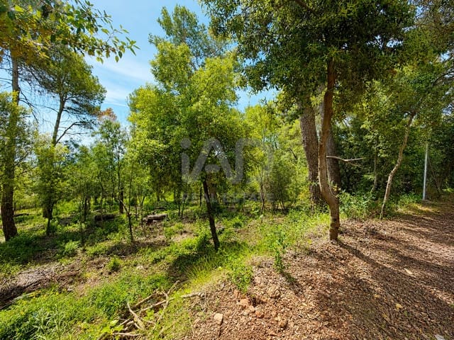 Ubebygd land til salgs i Barcelona by - € 70 000 (Ref: 9987977)