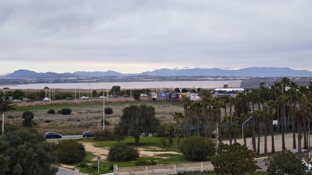 2 sypialnia Apartament na sprzedaż w La Veleta, Torrevieja - 165 000 € (Ref: 9987982)