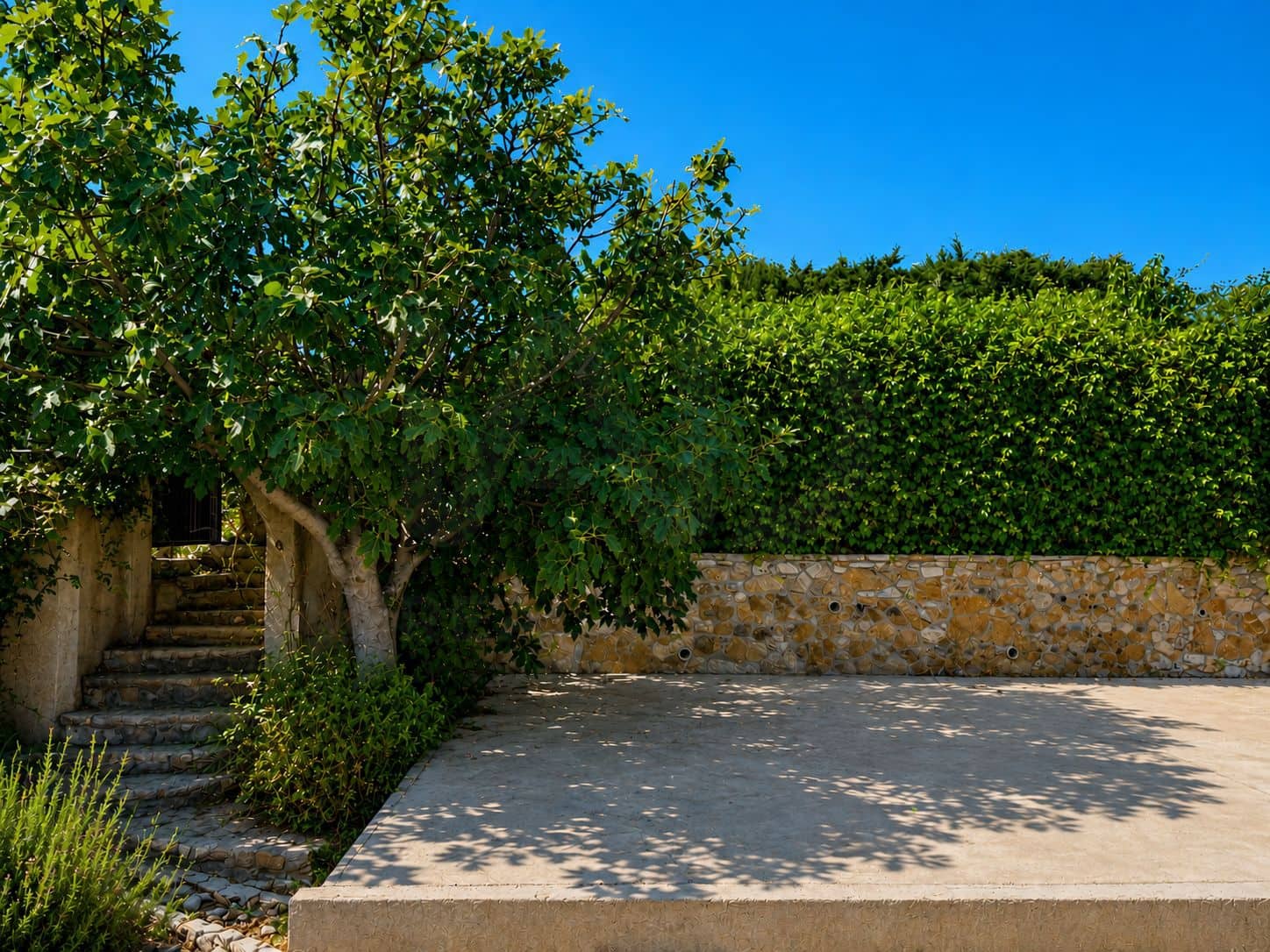 3 camera da letto Finca/Casa di Campagna in vendita in Cadice citta - 934.000 € (Rif: 9987995)