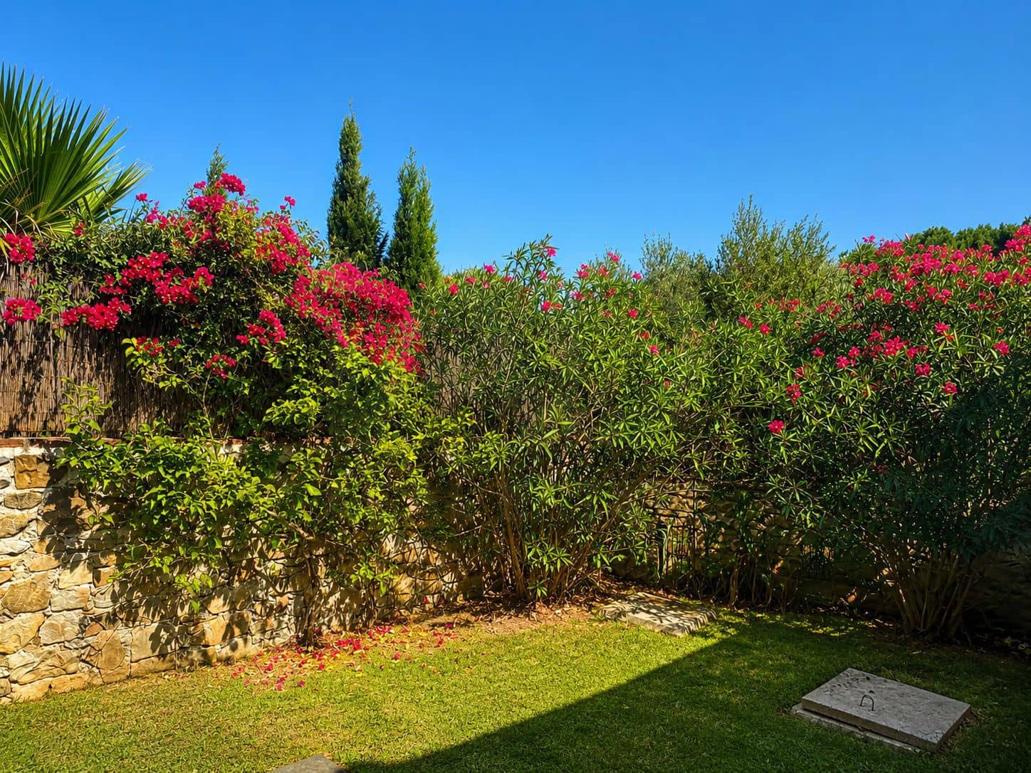 3 camera da letto Finca/Casa di Campagna in vendita in Cadice citta - 934.000 € (Rif: 9987995)
