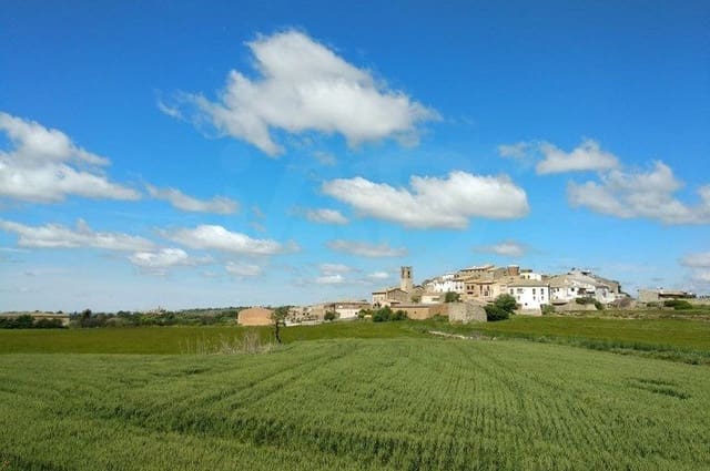 Ubebygd land til salgs i Tarragona by - € 125 000 (Ref: 9988001)