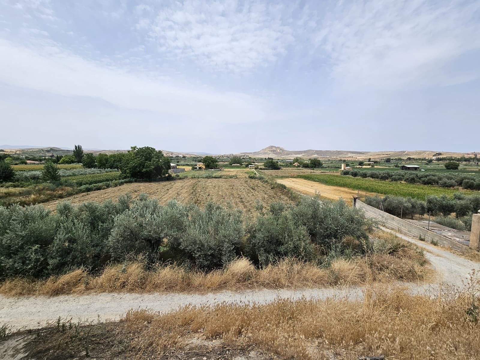 Solar/Parcela en Granada ciudad en venta - 175.000 € (Ref: 9988005)