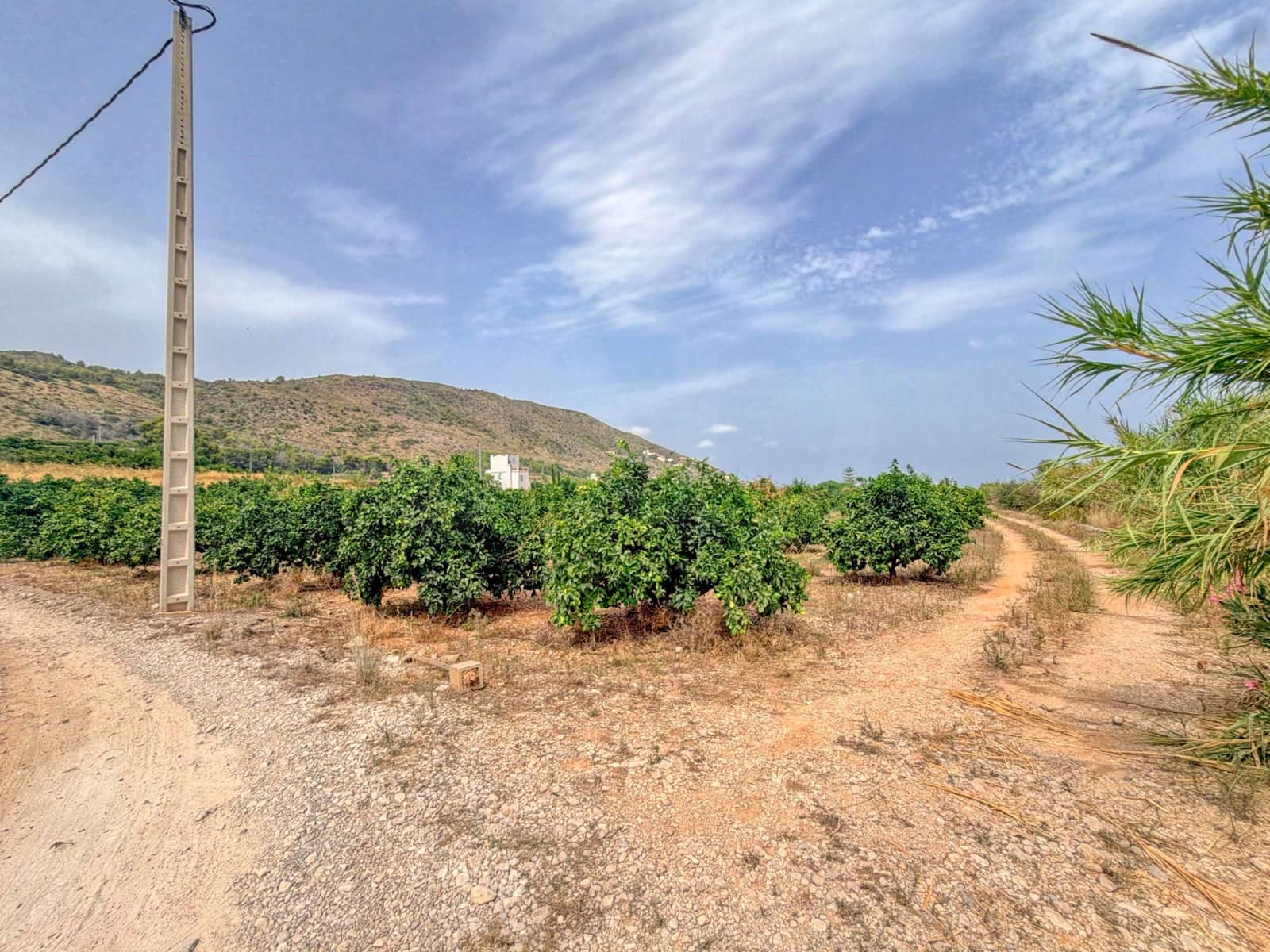 1 sovrum Finca/Hus på landet till salu i Alicante stad med pool - 349 000 € (Ref: 9988033)