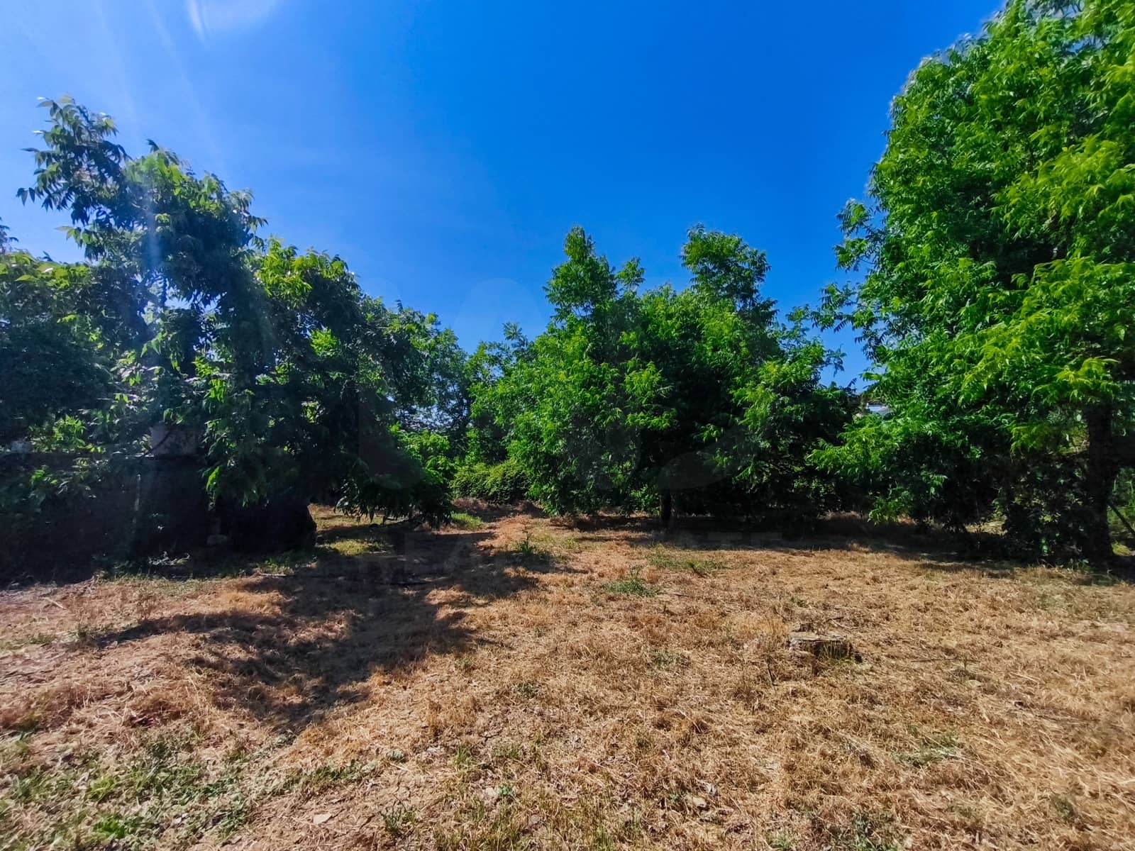 3 sypialnia Finka/Dom wiejski na sprzedaż w Coin z basenem - 549 000 € (Ref: 9988038)
