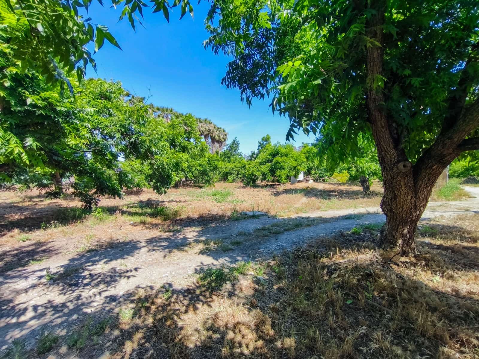 3 sypialnia Finka/Dom wiejski na sprzedaż w Coin z basenem - 549 000 € (Ref: 9988038)
