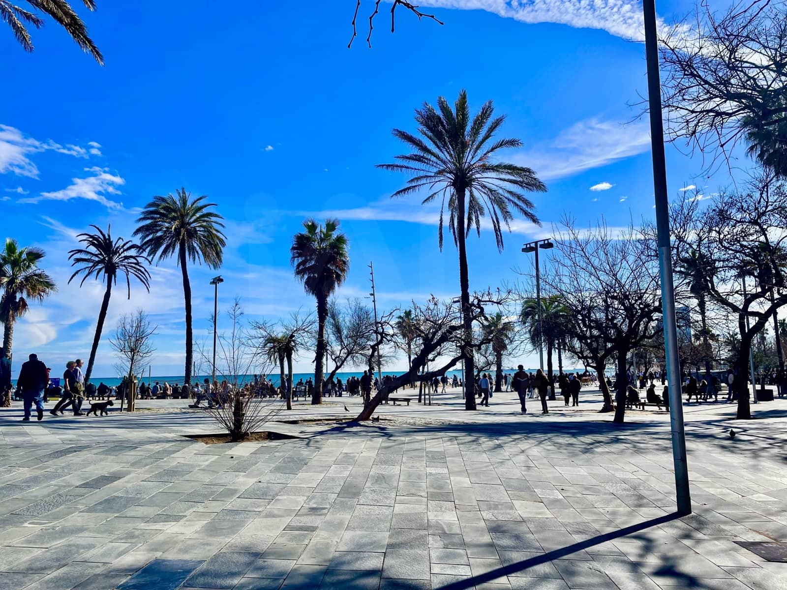 2 Zimmer Apartment zu verkaufen in Barcelona Stadt - 185.000 € (Ref: 9988052)