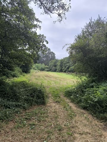 Landgrundstück zu verkaufen in Valdoviño - 70.000 € (Ref: 9988060)