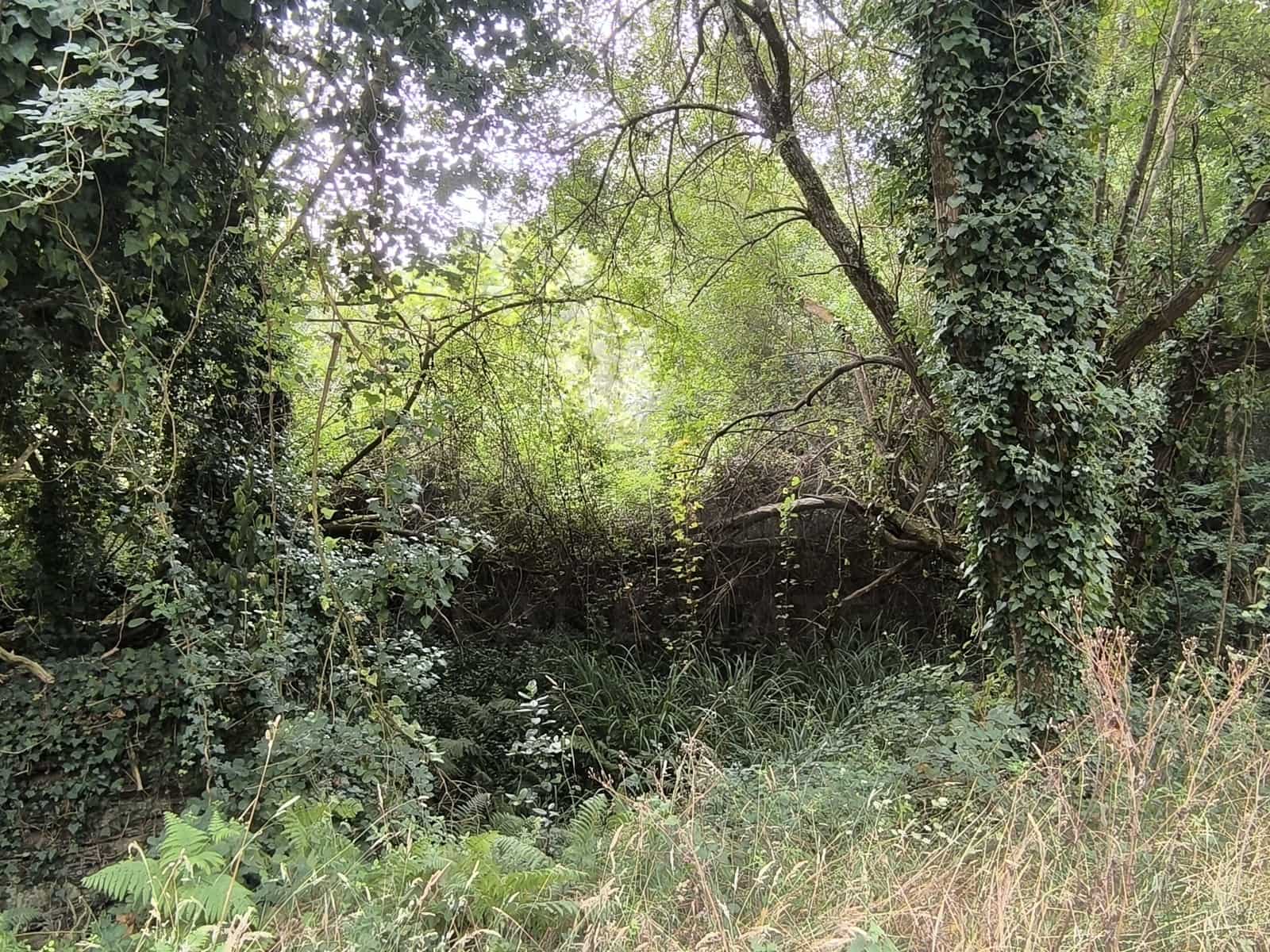 Teren niezagospodarowany na sprzedaż w Valdovino - 70 000 € (Ref: 9988060)
