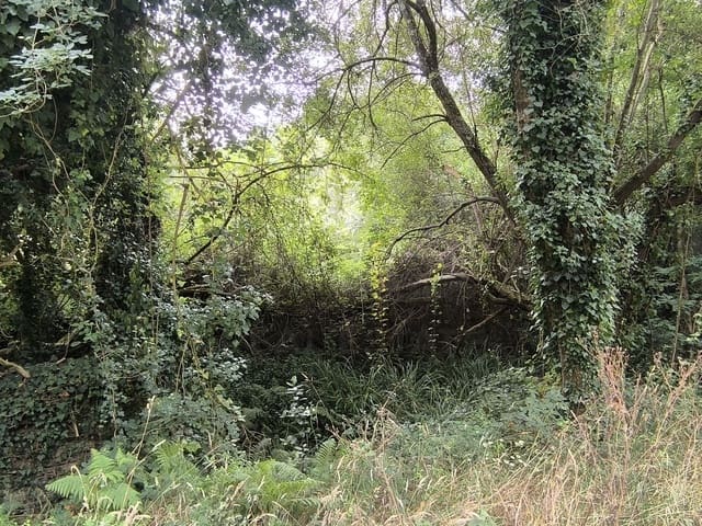 Landgrundstück zu verkaufen in Valdoviño - 70.000 € (Ref: 9988060)