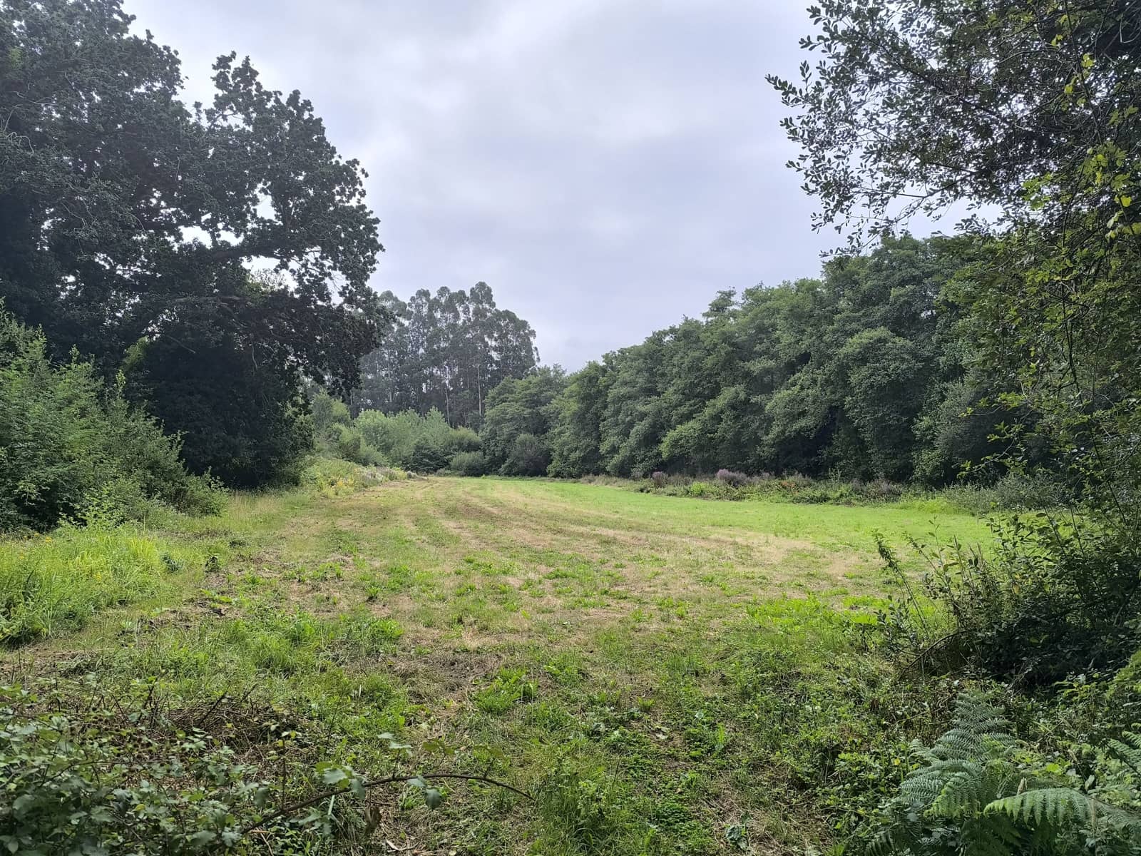 Teren niezagospodarowany na sprzedaż w Valdovino - 70 000 € (Ref: 9988060)