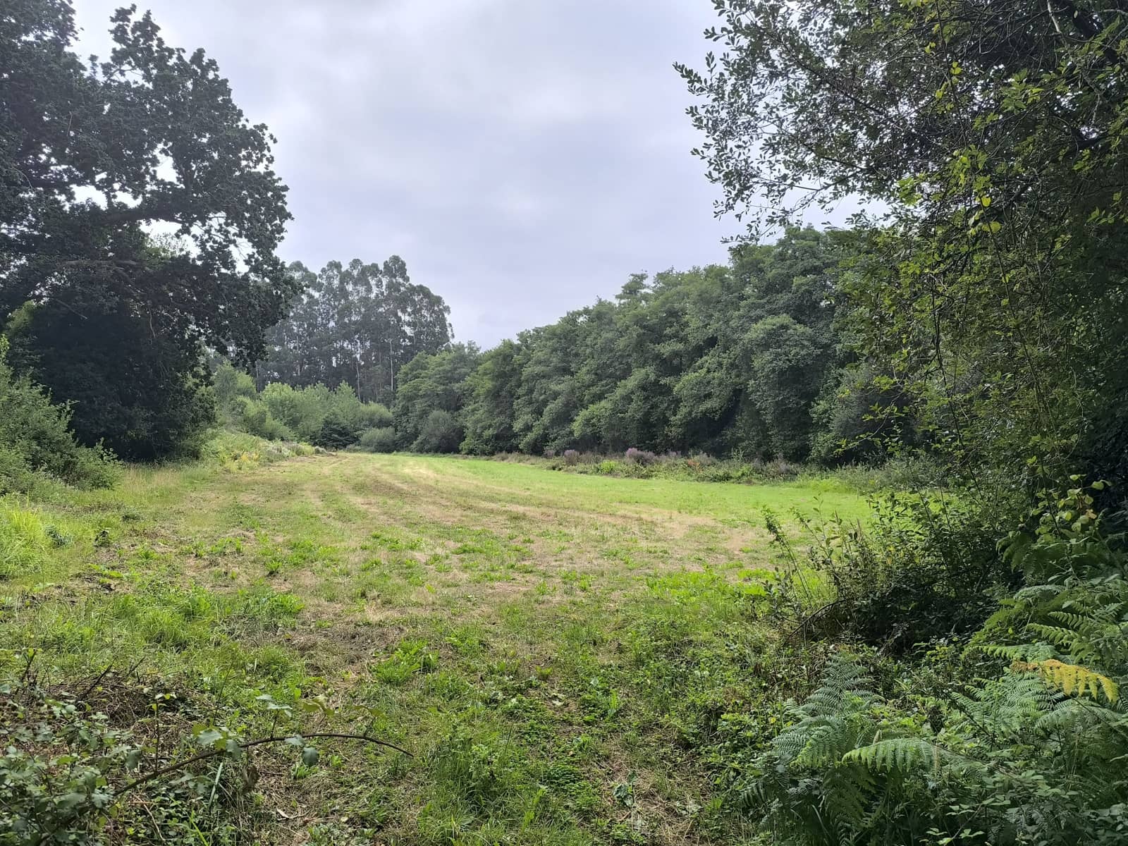 Teren niezagospodarowany na sprzedaż w Valdovino - 70 000 € (Ref: 9988060)
