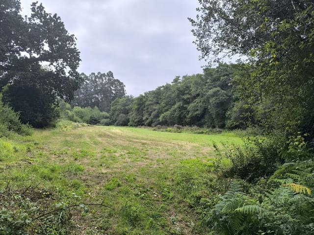 Landgrundstück zu verkaufen in Valdoviño - 70.000 € (Ref: 9988060)