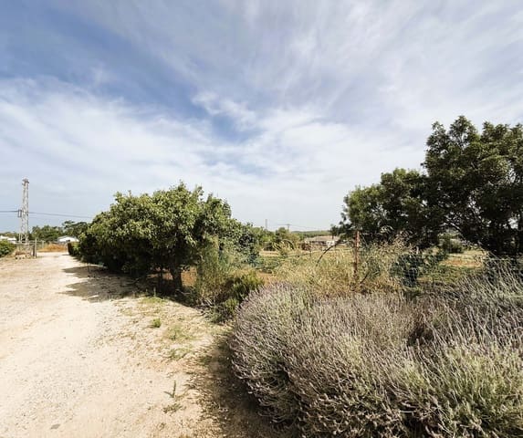 Grunde uden byggetilladelser til salg i Cádiz by - € 295.000 (Ref: 9988069)