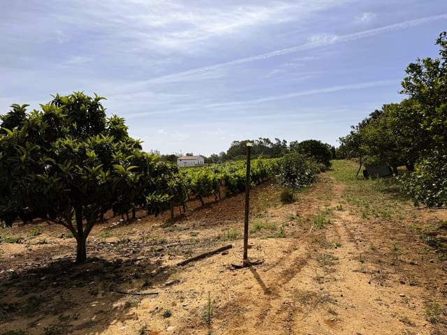 Grunde uden byggetilladelser til salg i Cádiz by - € 295.000 (Ref: 9988069)