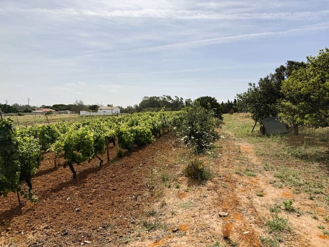 Grunde uden byggetilladelser til salg i Cádiz by - € 295.000 (Ref: 9988069)