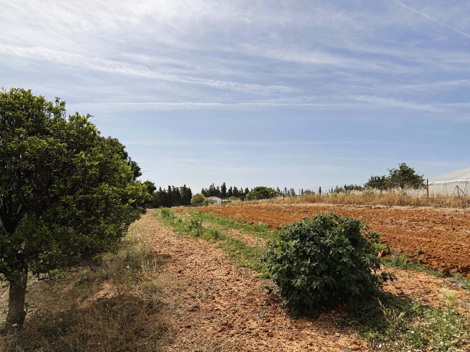 Grunde uden byggetilladelser til salg i Cadiz by - € 295.000 (Ref: 9988069)