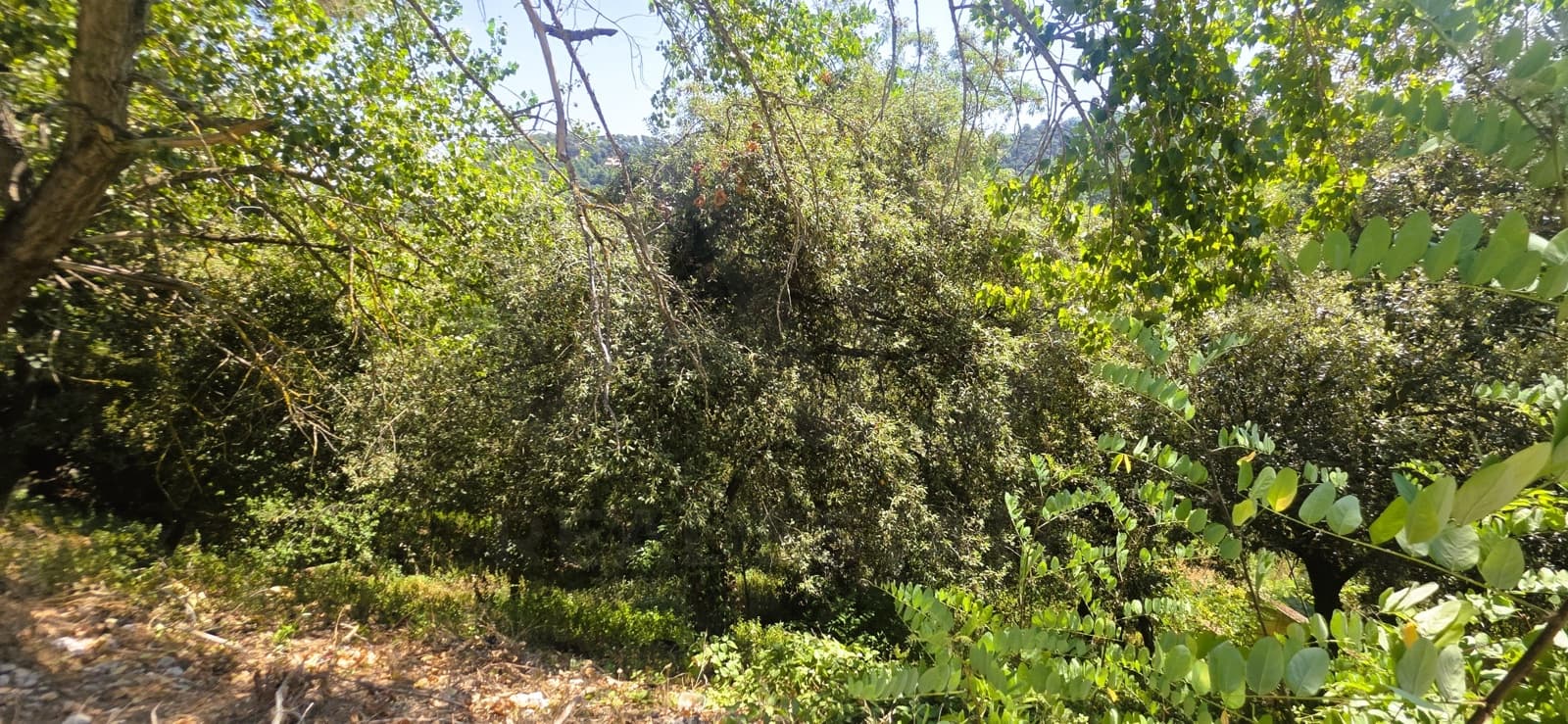 Building Plot for sale in Barcelona city - € 230,000 (Ref: 9988077)