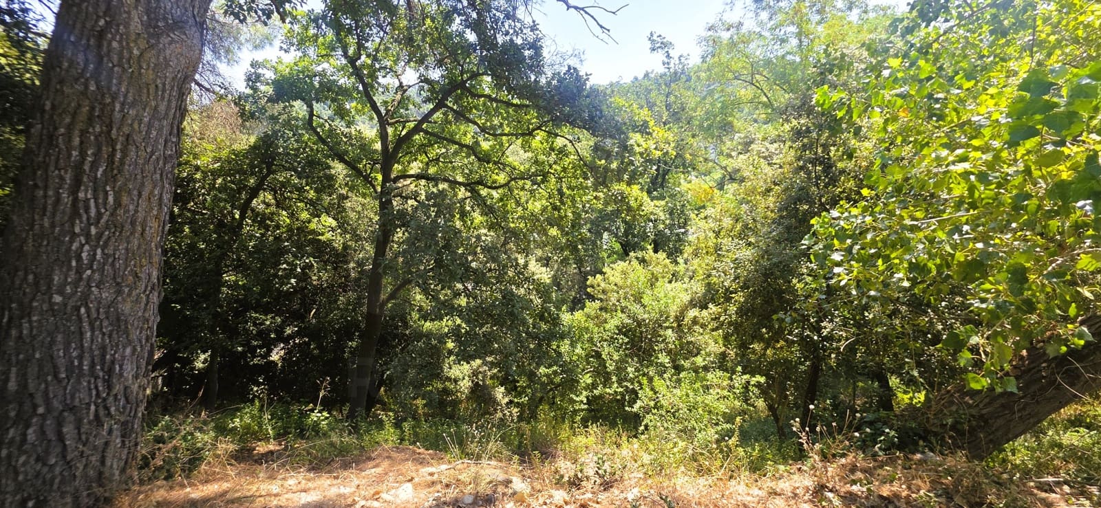 Building Plot for sale in Barcelona city - € 230,000 (Ref: 9988077)