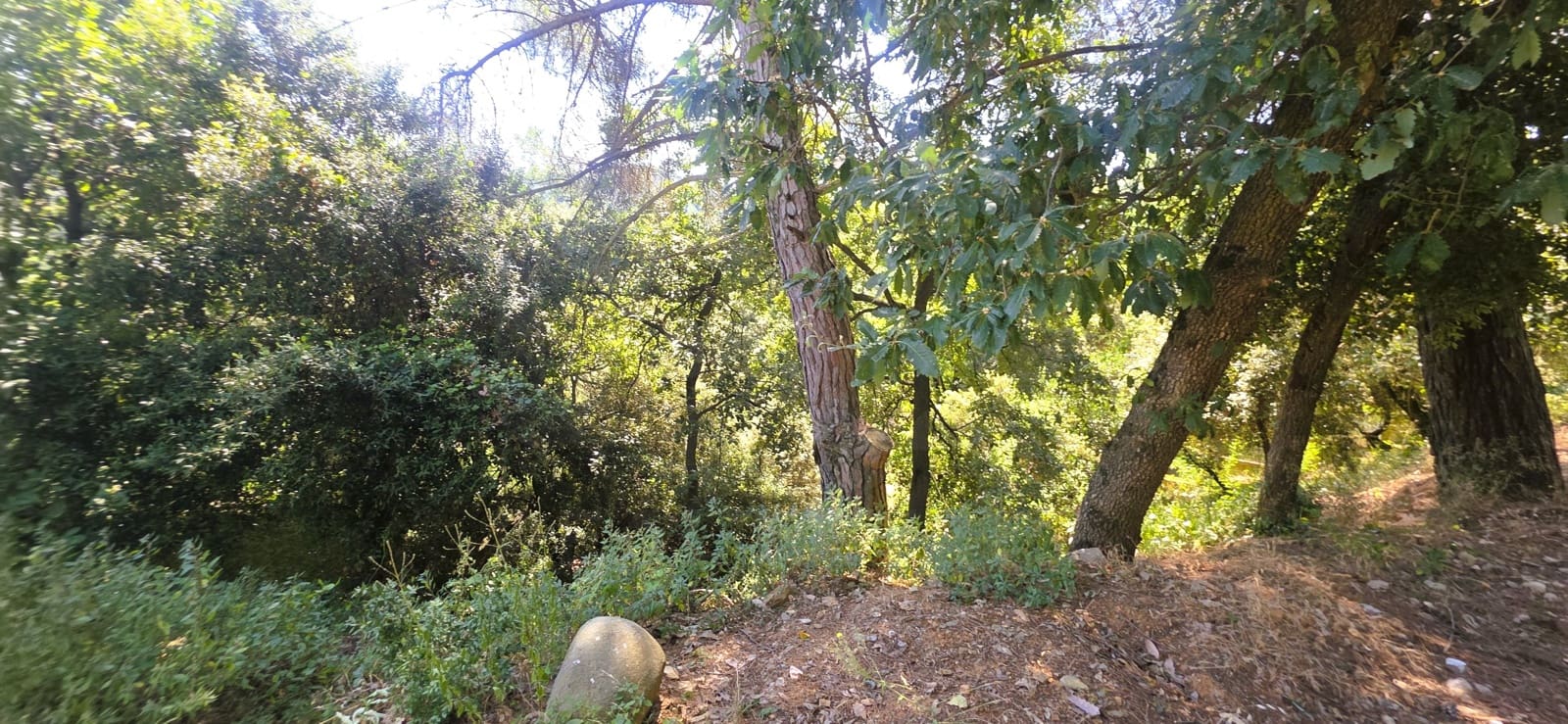 Building Plot for sale in Barcelona city - € 230,000 (Ref: 9988077)