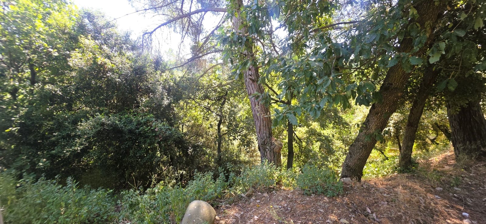Building Plot for sale in Barcelona city - € 230,000 (Ref: 9988077)