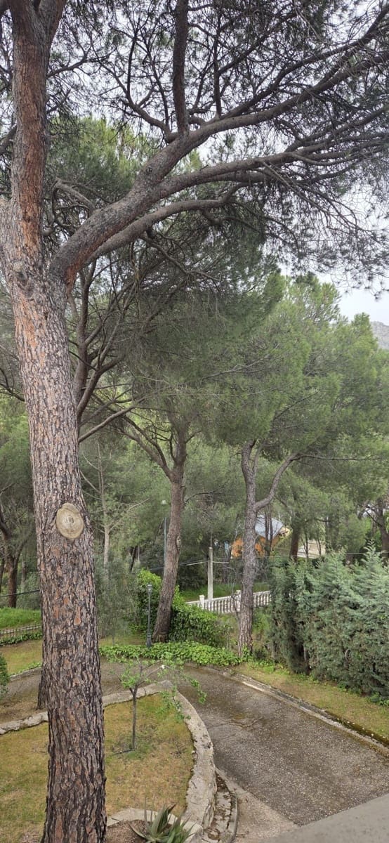 4 chambre Maison de Ville à vendre à Madrid ville avec garage - 314 000 € (Ref: 9988081)