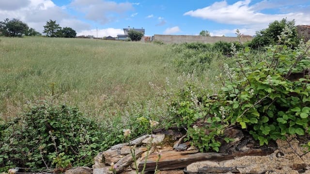 Area Edificabile in vendita in Salamanca città - 85.000 € (Rif: 9988104)
