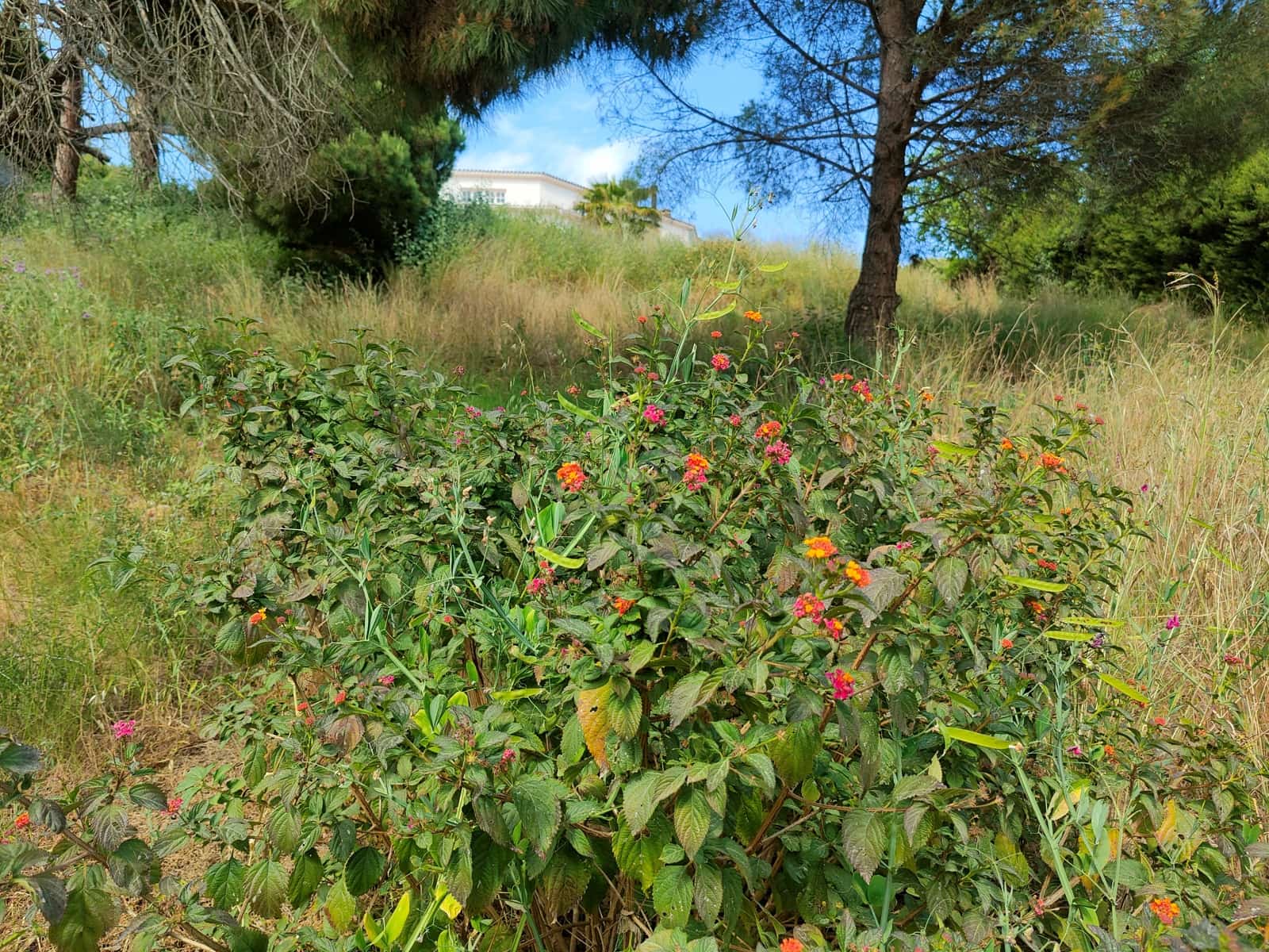 Building Plot for sale in Barcelona city - € 215,000 (Ref: 9988113)