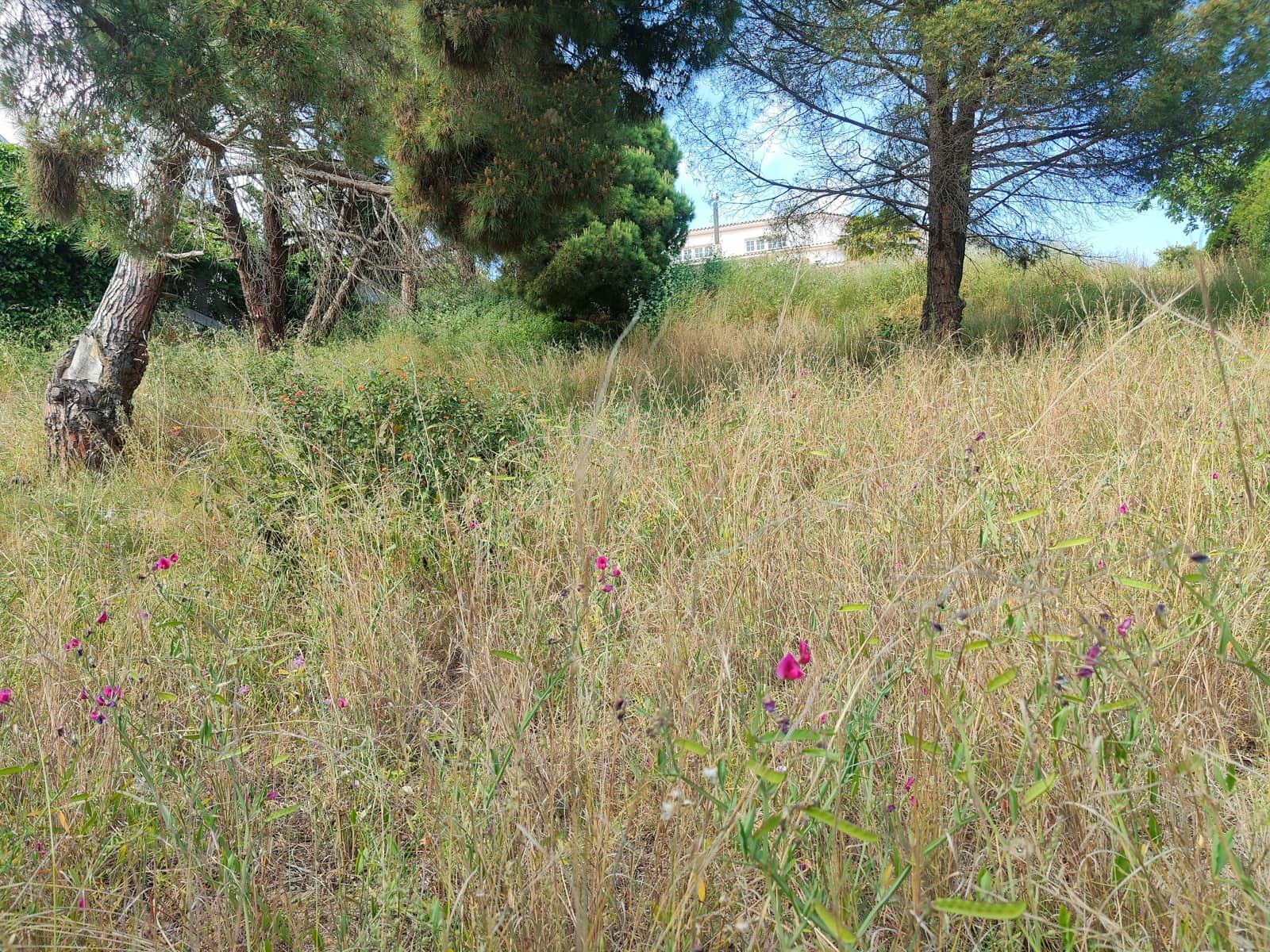 Building Plot for sale in Barcelona city - € 215,000 (Ref: 9988113)