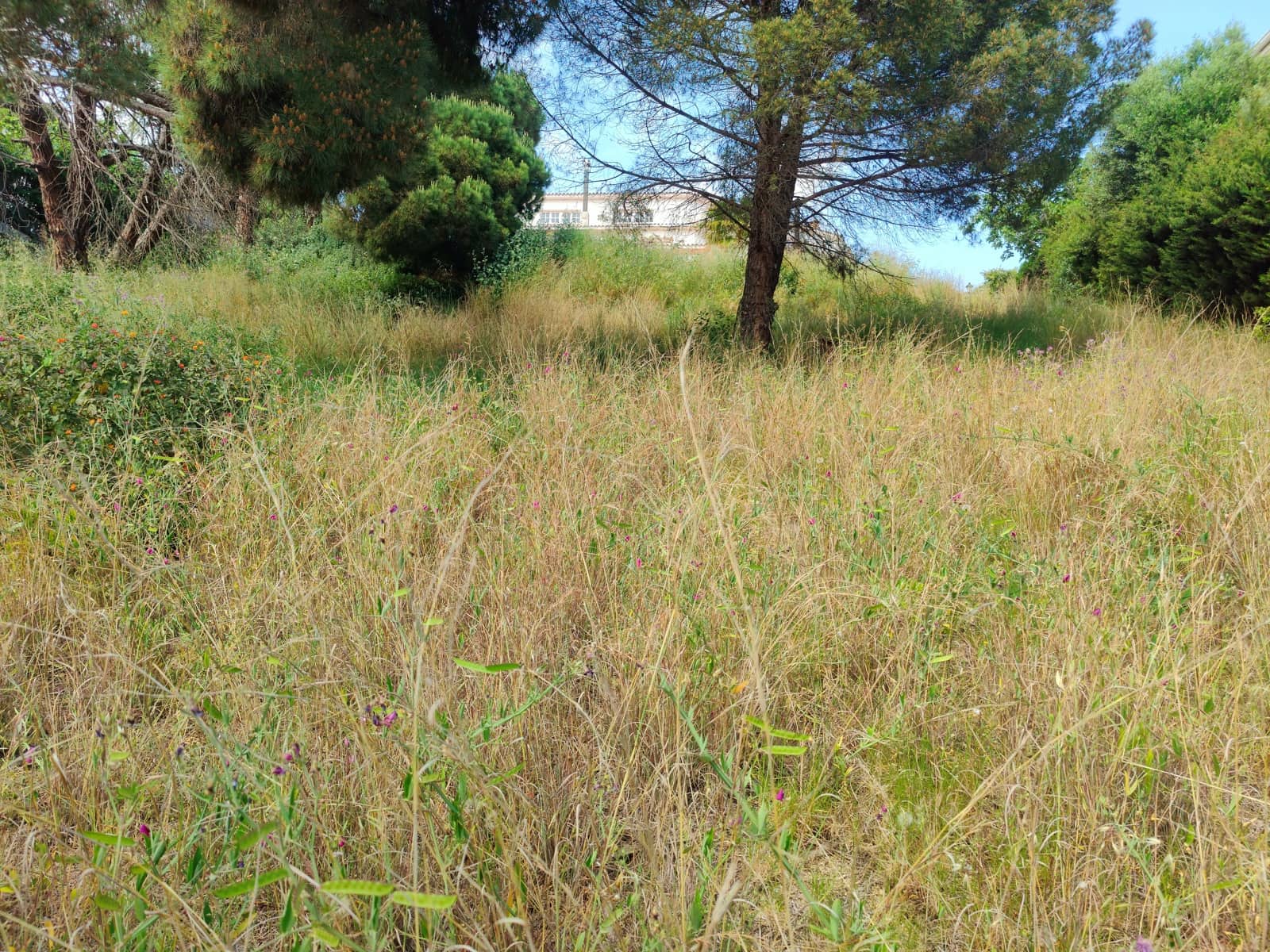 Building Plot for sale in Barcelona city - € 215,000 (Ref: 9988113)