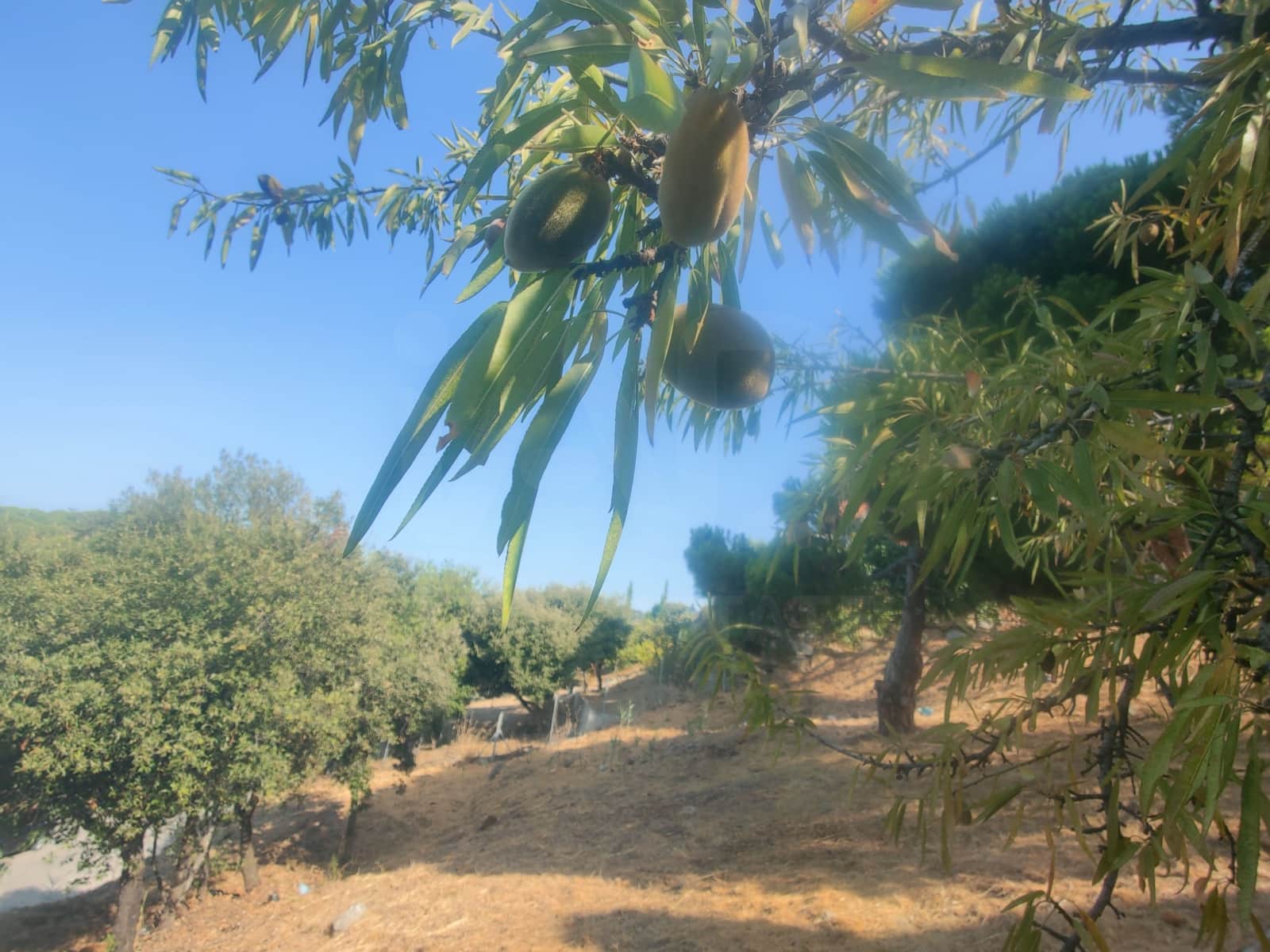 Building Plot for sale in Barcelona city - € 215,000 (Ref: 9988113)