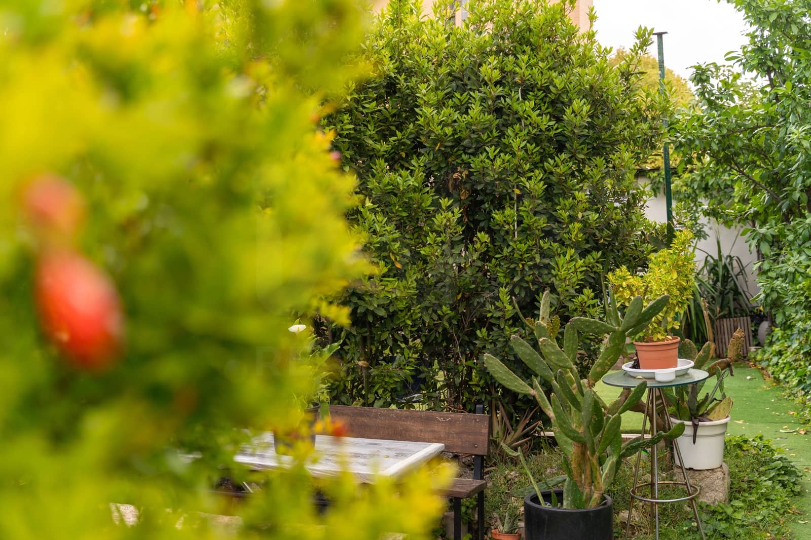 Solar/Parcela en Madrid ciudad en venta - 1.504.000 € (Ref: 9988126)