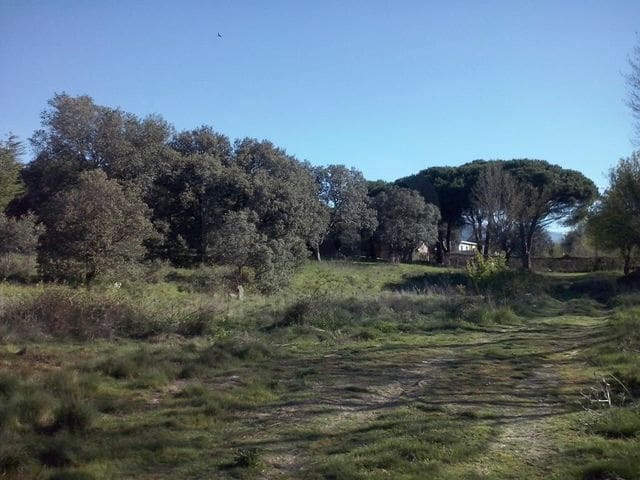 Terrain à Bâtir à vendre à Madrid ville - 499 000 € (Ref: 9988142)