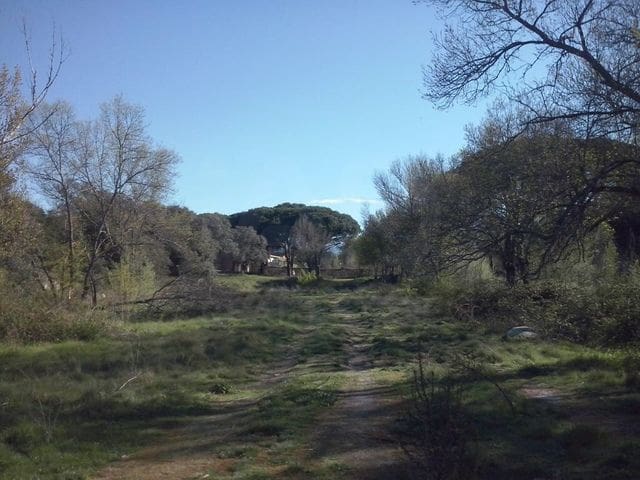 Terrain à Bâtir à vendre à Madrid ville - 499 000 € (Ref: 9988142)