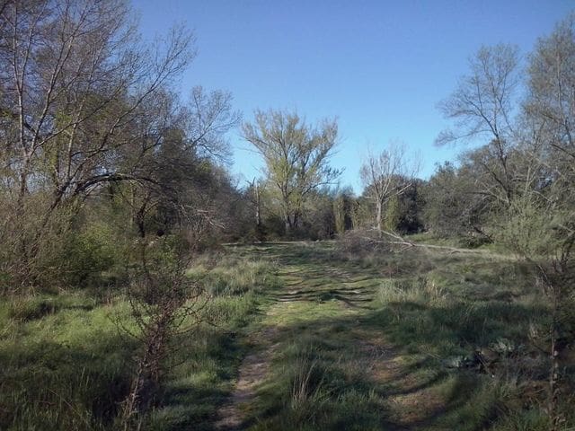 Terrain à Bâtir à vendre à Madrid ville - 499 000 € (Ref: 9988142)