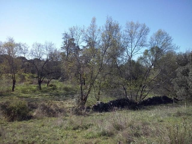 Terrain à Bâtir à vendre à Madrid ville - 499 000 € (Ref: 9988142)