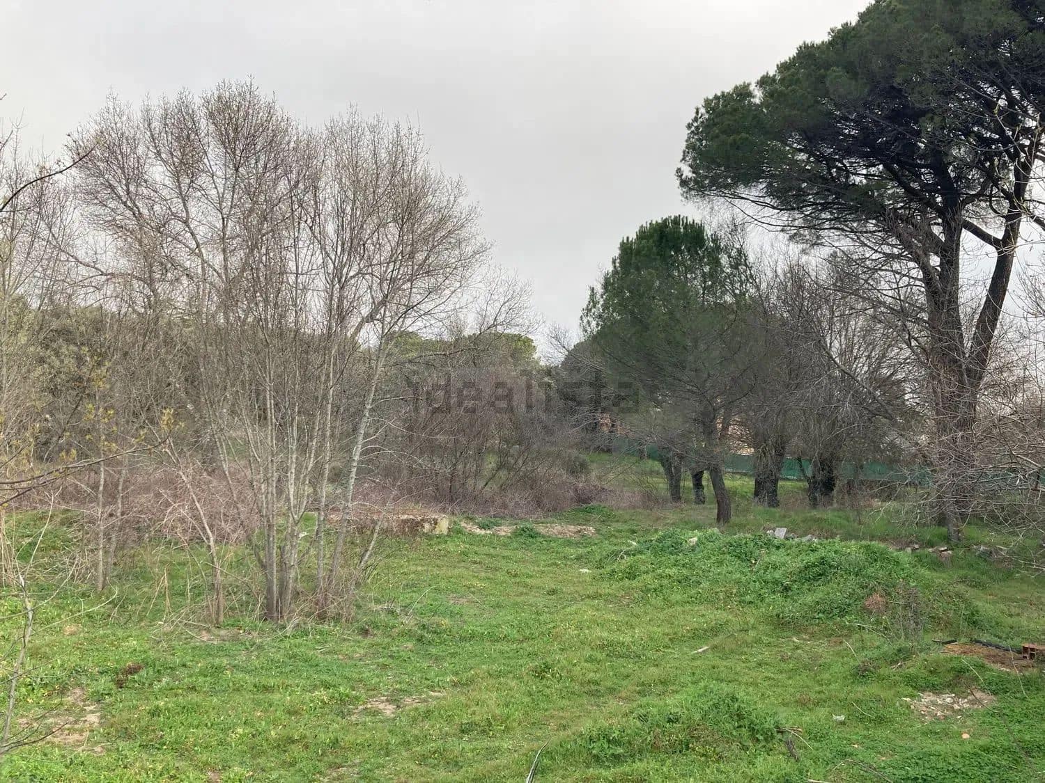 Terrain à Bâtir à vendre à Madrid ville - 499 000 € (Ref: 9988142)