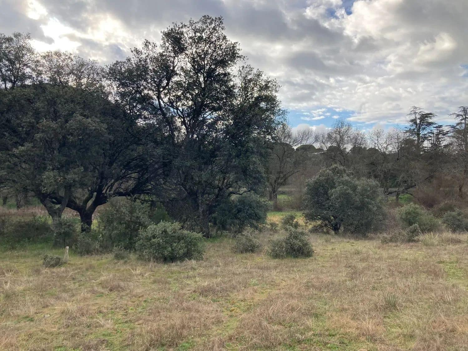 Terrain à Bâtir à vendre à Madrid ville - 499 000 € (Ref: 9988142)