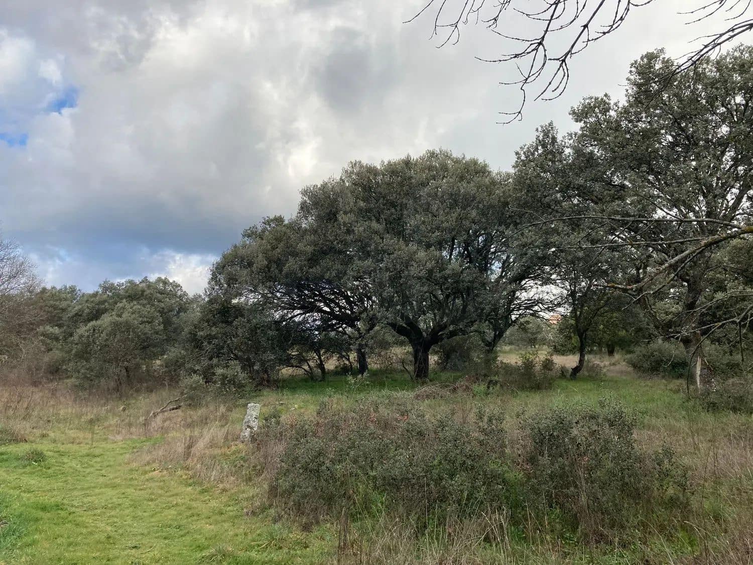Terrain à Bâtir à vendre à Madrid ville - 499 000 € (Ref: 9988142)