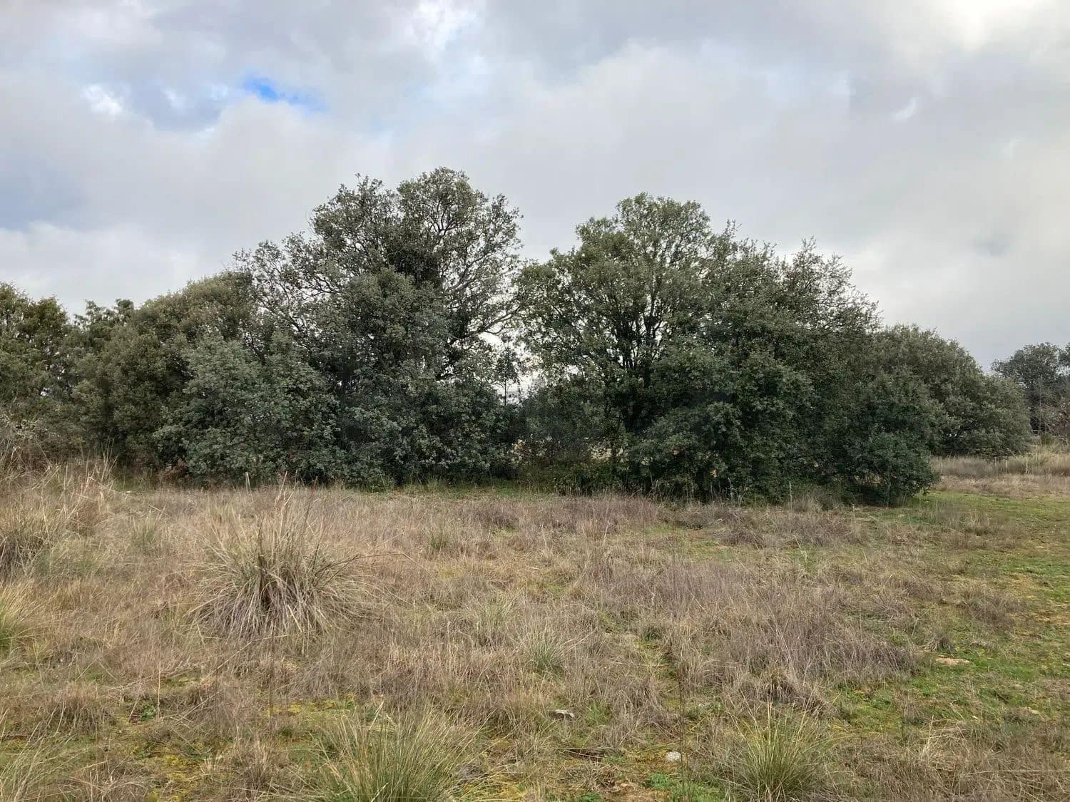Terrain à Bâtir à vendre à Madrid ville - 499 000 € (Ref: 9988142)