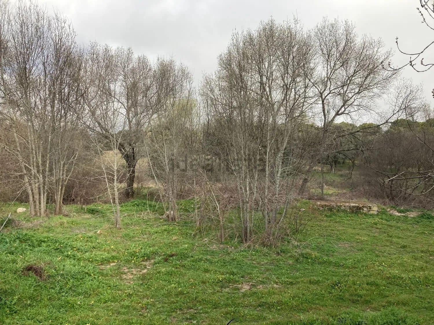 Terrain à Bâtir à vendre à Madrid ville - 499 000 € (Ref: 9988142)