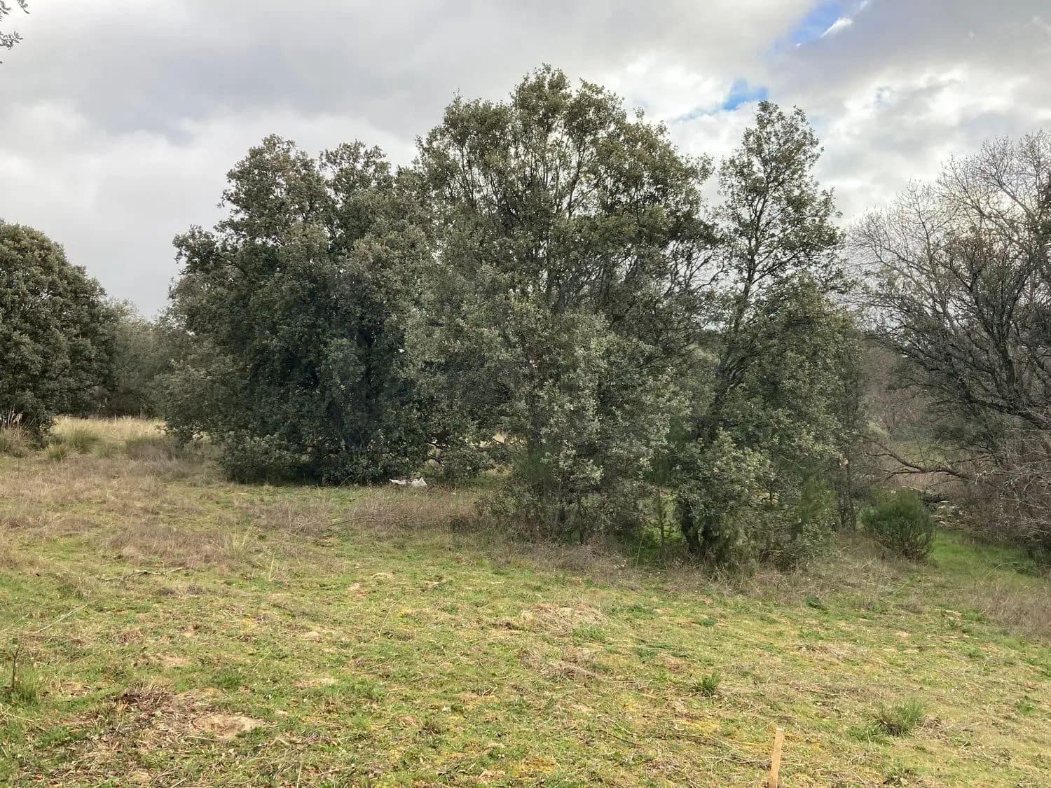 Terrain à Bâtir à vendre à Madrid ville - 499 000 € (Ref: 9988142)