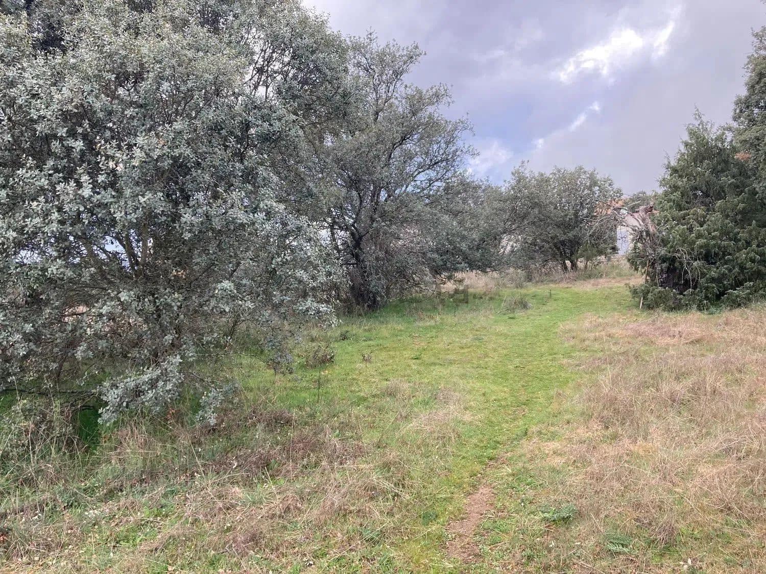 Terrain à Bâtir à vendre à Madrid ville - 499 000 € (Ref: 9988142)