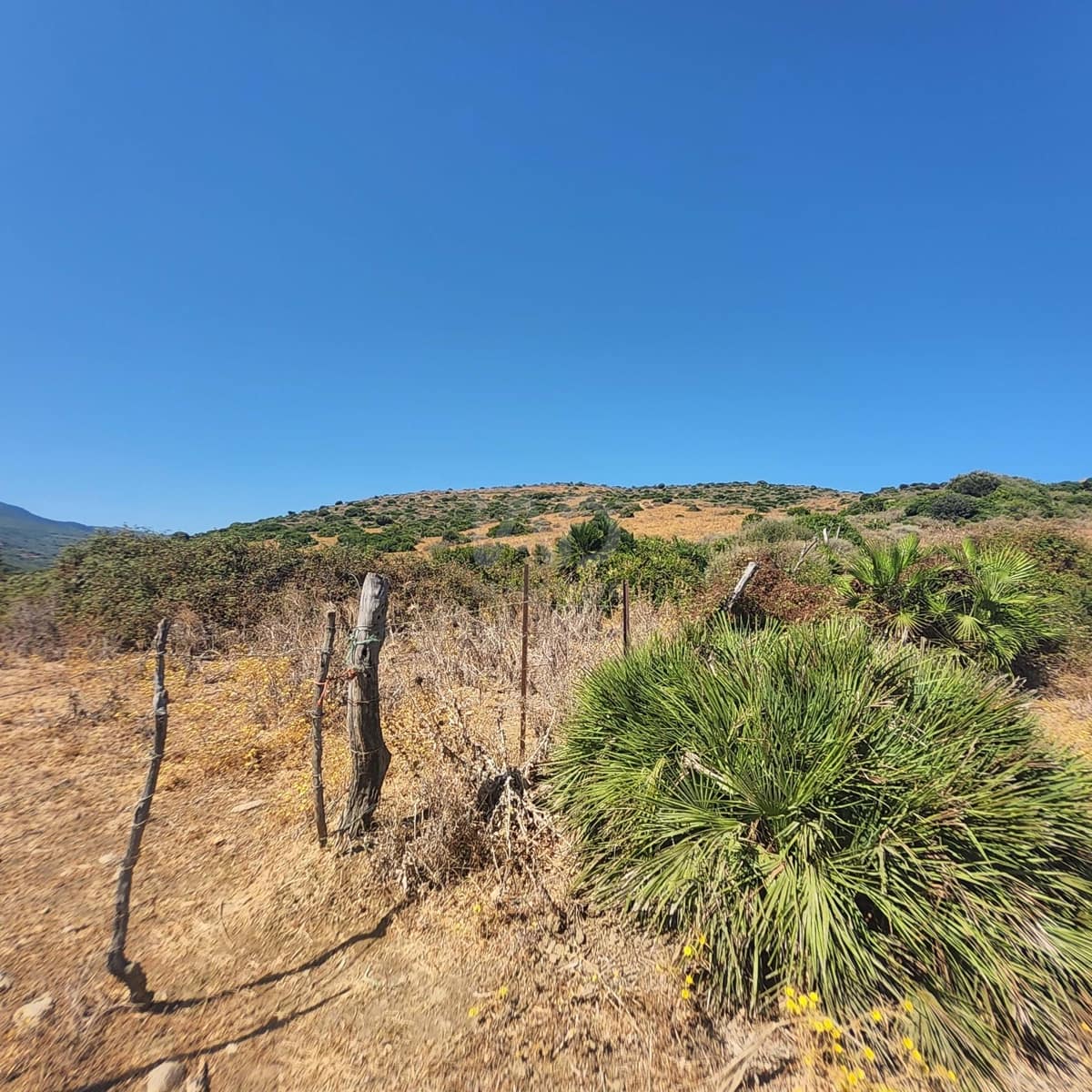 Grunde uden byggetilladelser til salg i Cadiz by - € 600.000 (Ref: 9988147)