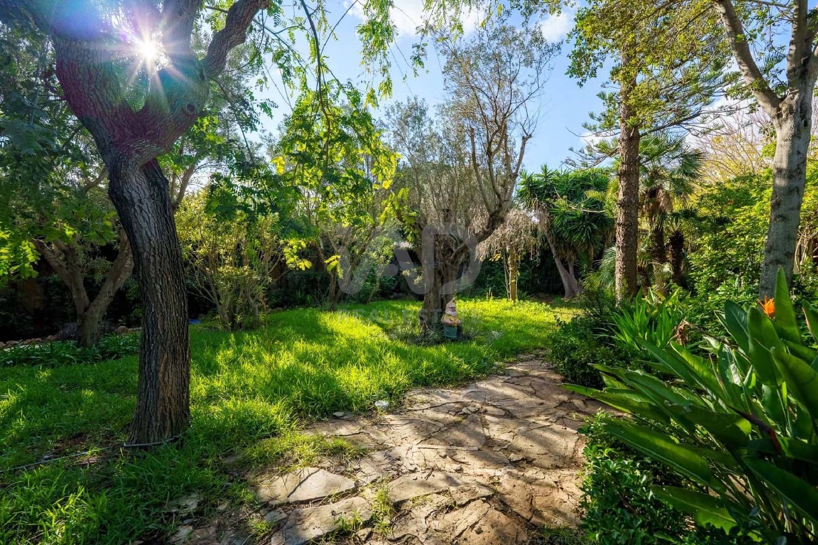 6 chambre Villa/Maison à vendre à Pollensa / Pollenca avec piscine garage - 1 700 000 € (Ref: 9988191)
