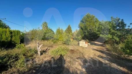 3 Zimmer Finca/Landgut zu verkaufen in Alicante / Alacant Stadt - 150.000 € (Ref: 9988194)