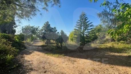 3 Zimmer Finca/Landgut zu verkaufen in Alicante / Alacant Stadt - 150.000 € (Ref: 9988194)