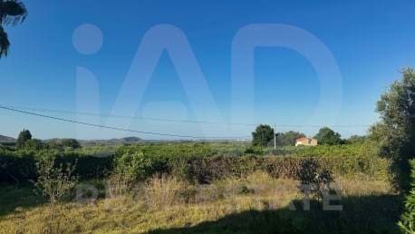 3 Zimmer Finca/Landgut zu verkaufen in Alicante / Alacant Stadt - 150.000 € (Ref: 9988194)