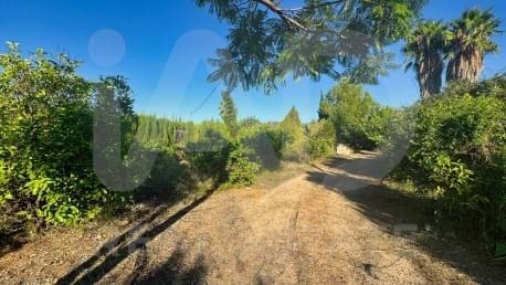 3 Zimmer Finca/Landgut zu verkaufen in Alicante / Alacant Stadt - 150.000 € (Ref: 9988194)
